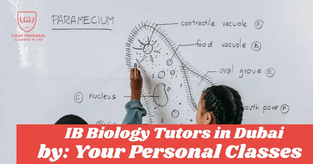 IB BIology Tuition in Dubai